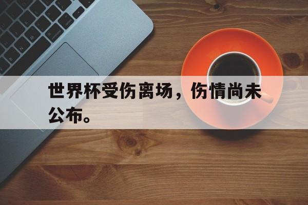 海星体育直播-世界杯受伤离场，伤情尚未公布。