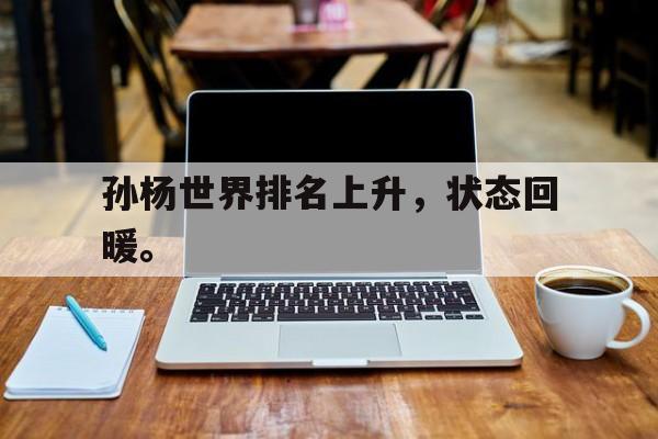 海星TV-孙杨世界排名上升，状态回暖。